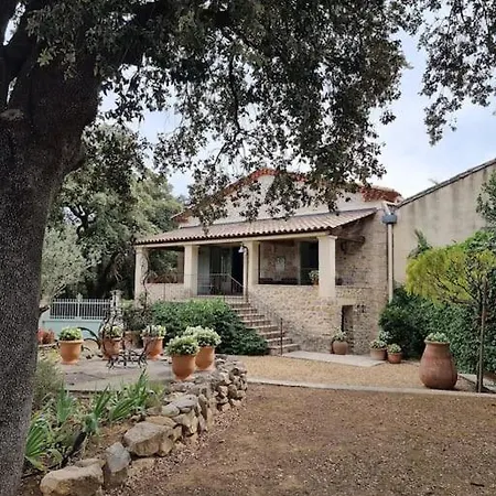 Magnifique A Villa *